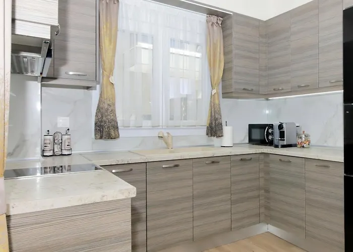 Kalina House 尼基季